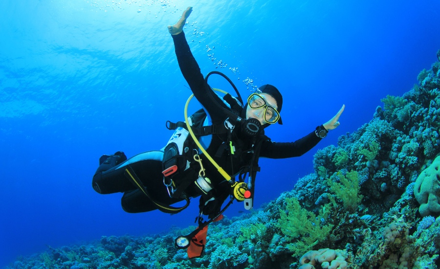 Explora Madeira Scuba Dives